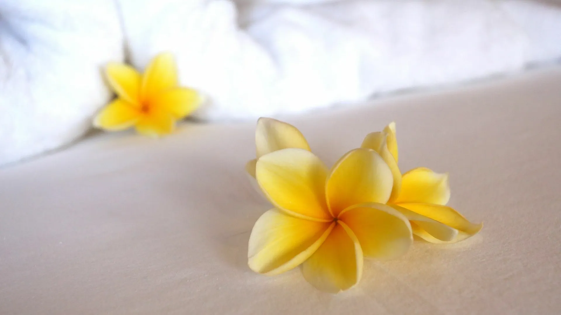 Urbanest Inn Villa Seminyak  Indonesia
